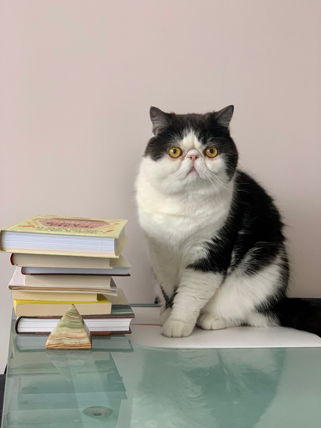 Five Minutes Before My Music Session: The Surprising&nbsp;Encounter